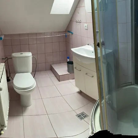 בית אירוח Privatsalatin Ludrova